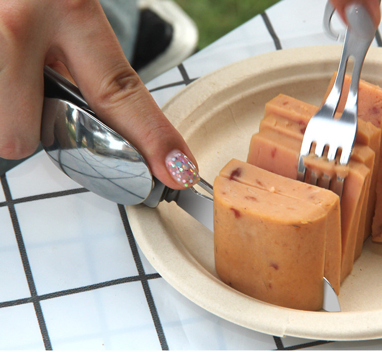 Multi-function Camping Fork Sp - Quechua Camping Cooking Set 评论和价格