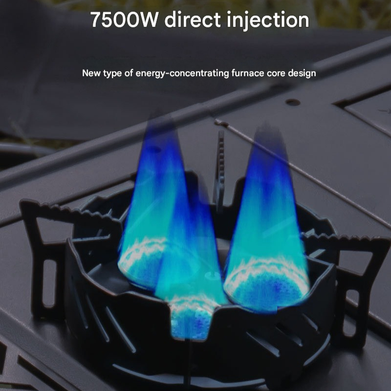 Mini Split Gas Stove Half Unit - Camping Cooking Table With Windshield 评论和价格