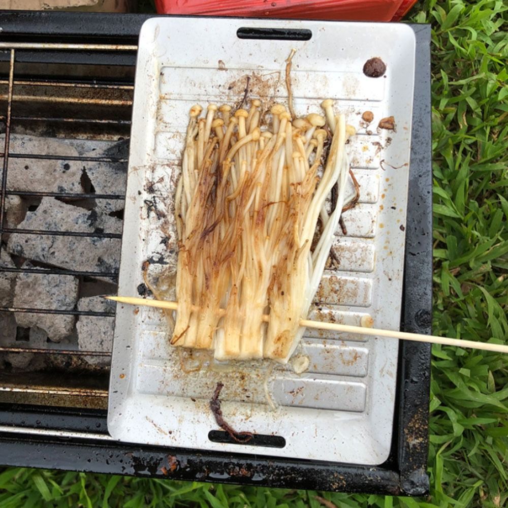 Durable Titanium Camping Grill - Camping Cooking Lightweight 评论和价格