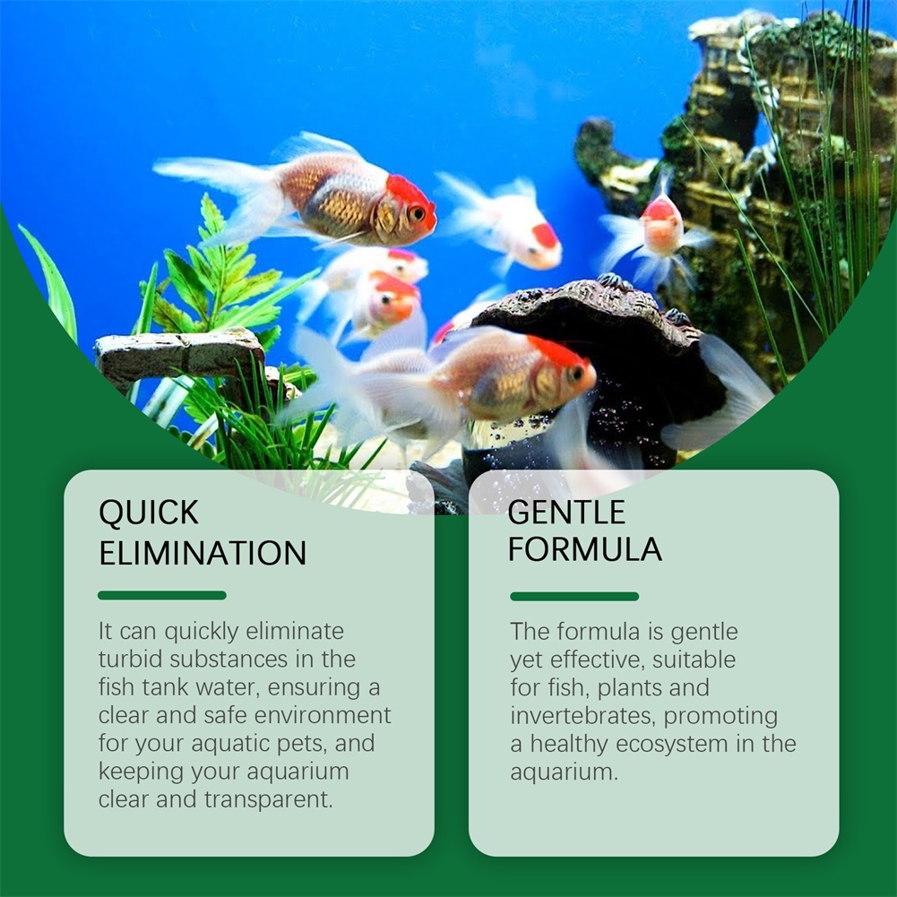 Water Purification Tablets Eco - Water Purification Tablet 评论和价格