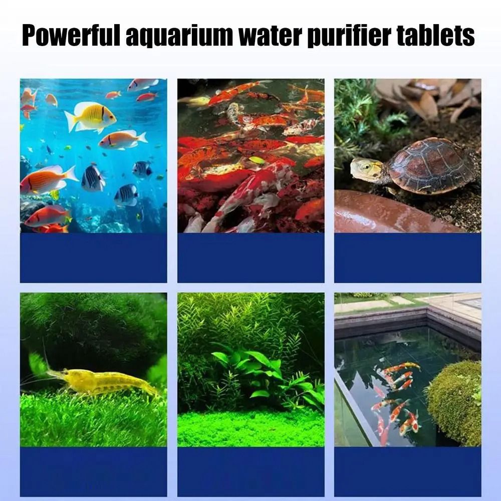 Powerful Water Purification Ta - Water Purification Tablet 评论和价格